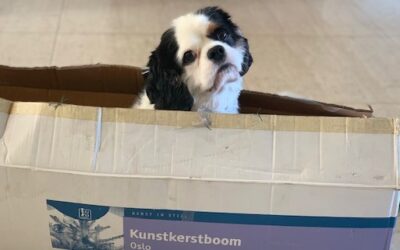 Wij wensen jullie een imperfecte kerst